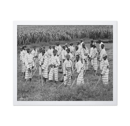 Juvenile Convict Labor 1903