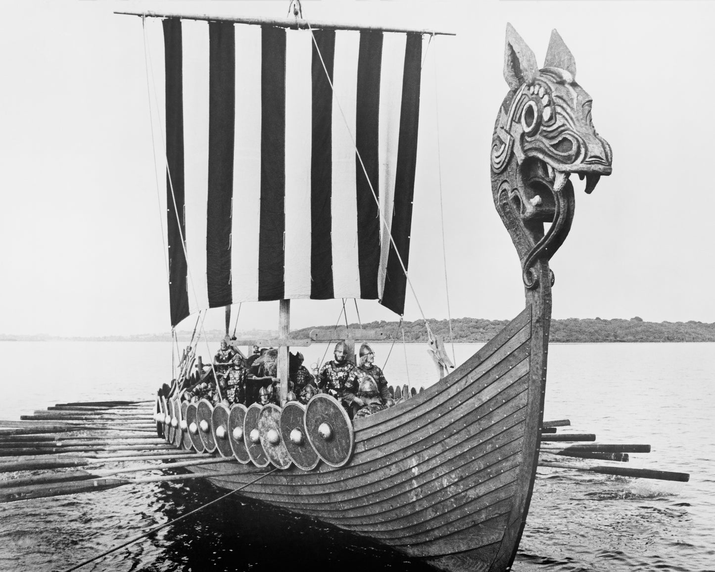 Viking Voyage