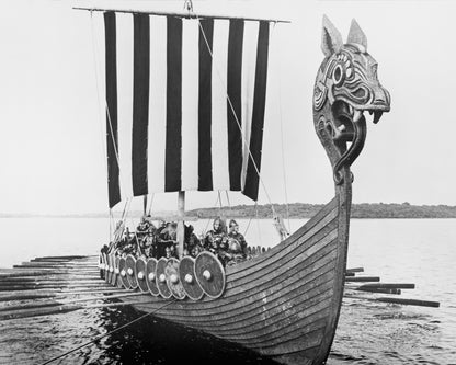 Viking Voyage