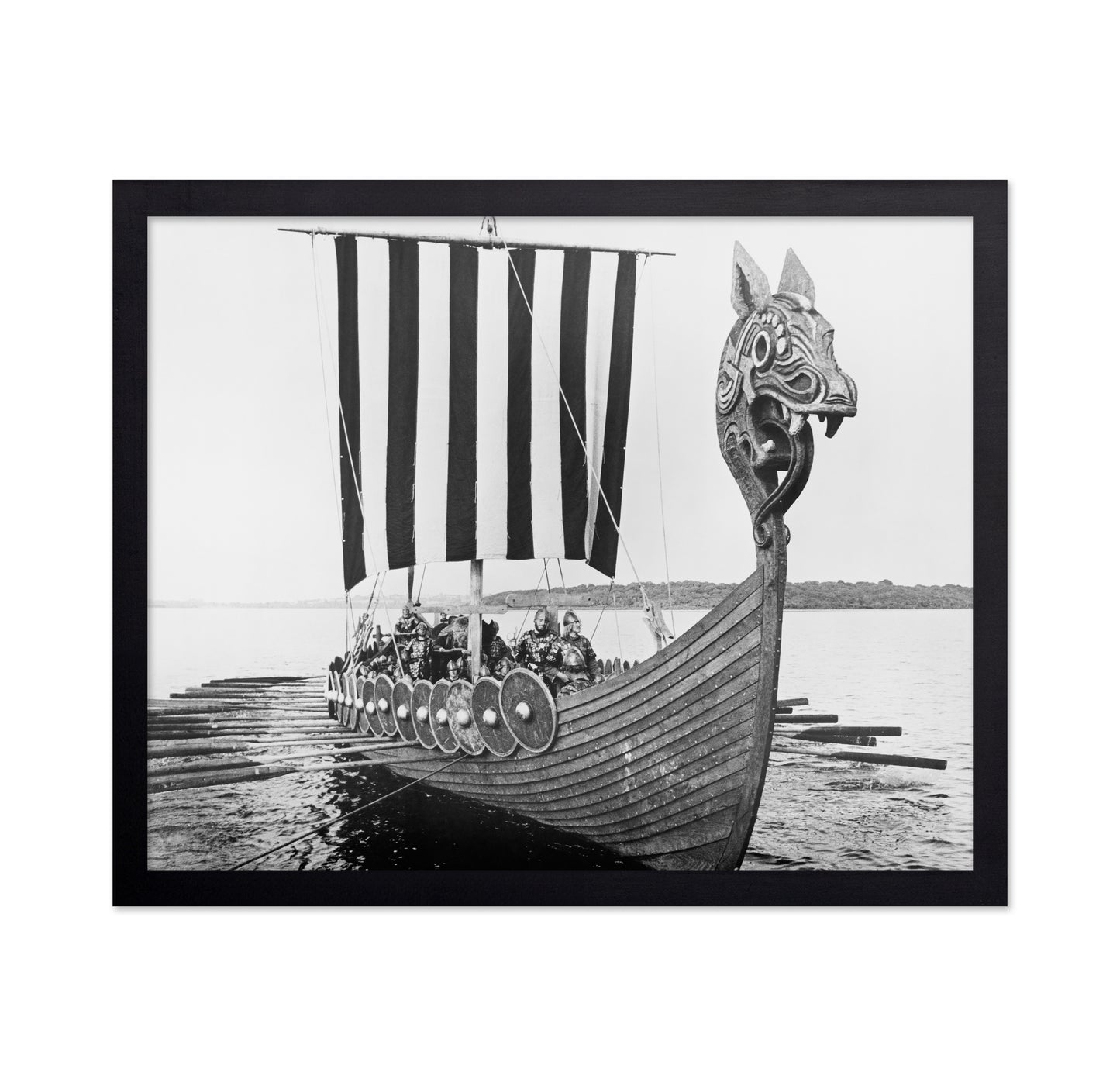 Viking Voyage