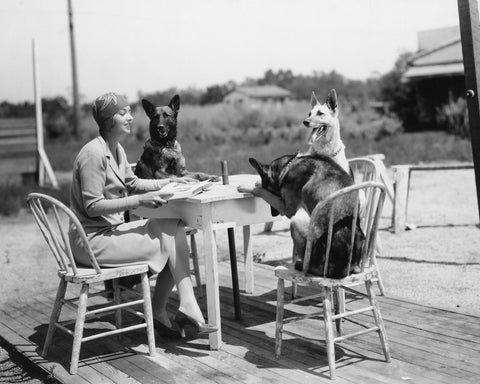 Woman & Dogs 1930s