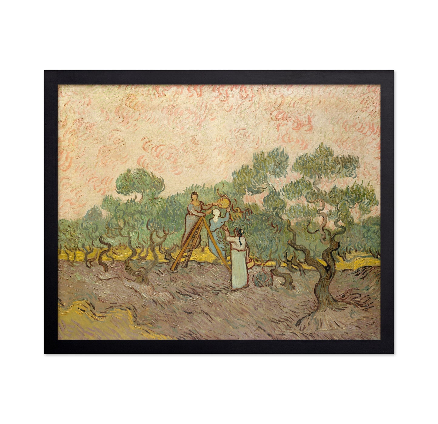 Picking Olives 1889