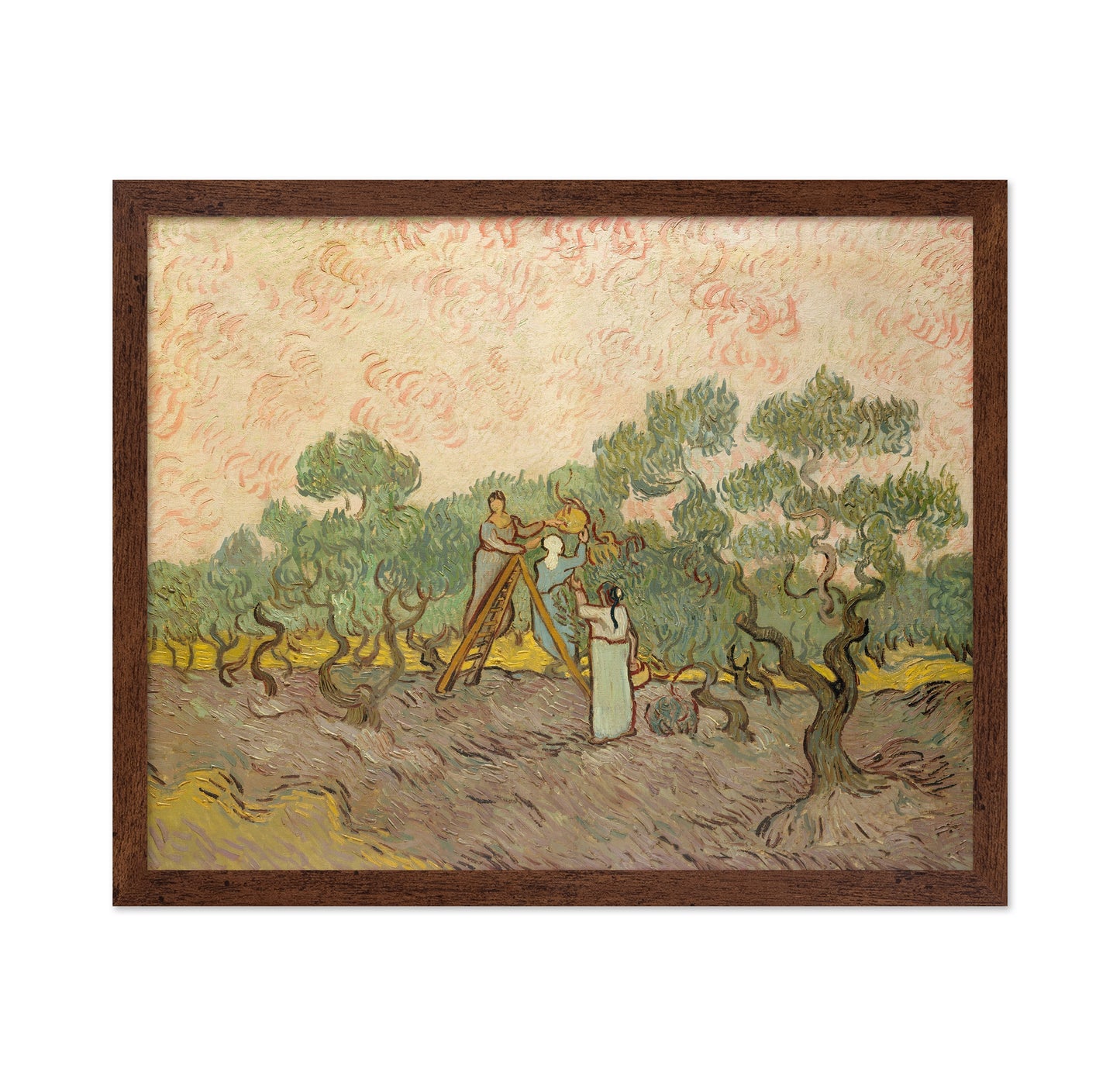 Picking Olives 1889