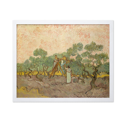 Picking Olives 1889