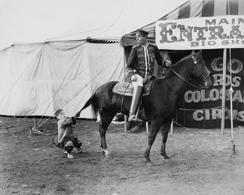 Circus Horse Performer