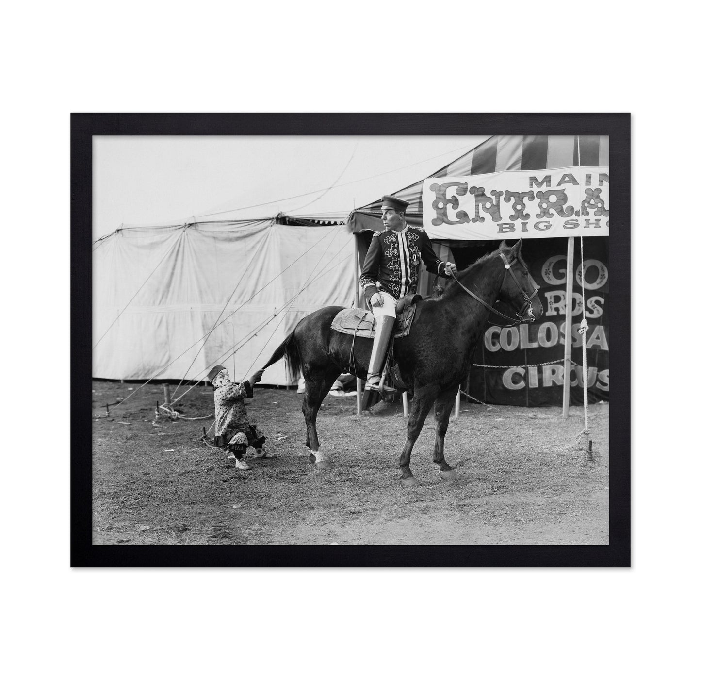 Circus Horse Performer