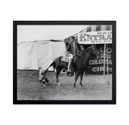 Circus Horse Performer