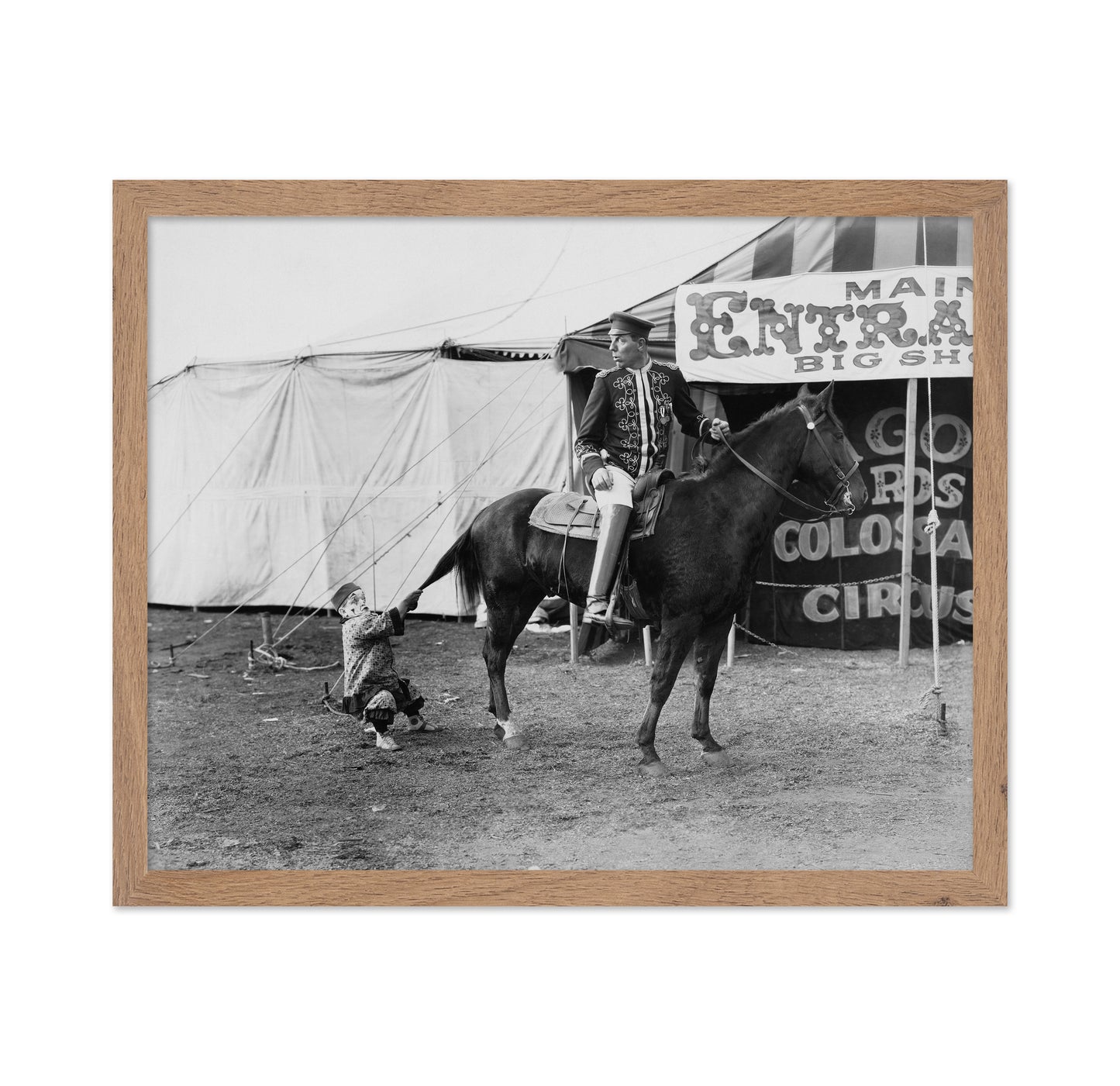 Circus Horse Performer