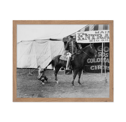 Circus Horse Performer