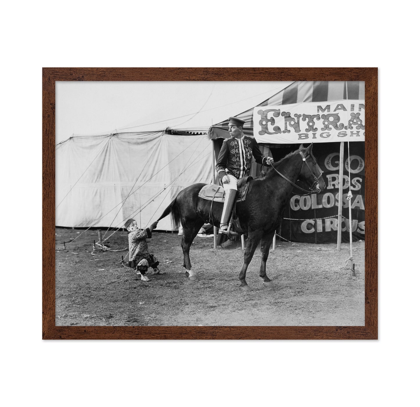 Circus Horse Performer