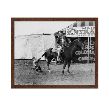 Circus Horse Performer