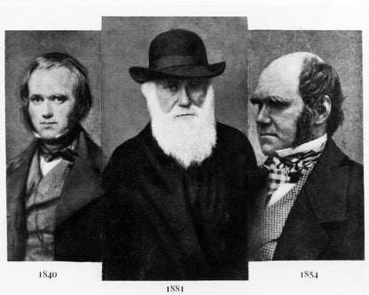 Charles Darwin 1881