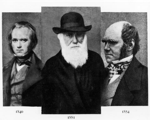 Charles Darwin 1881