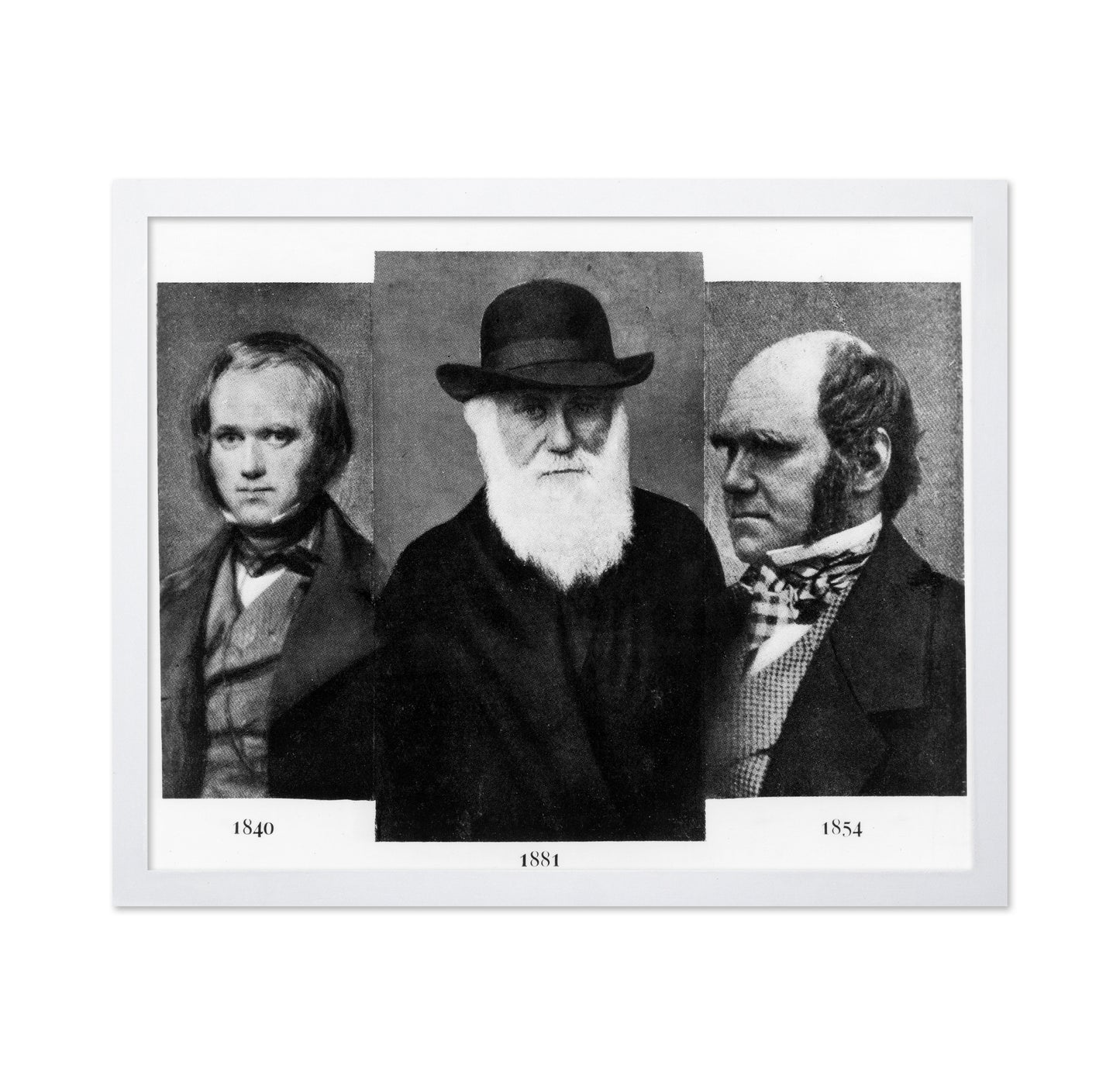Charles Darwin 1881