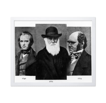 Charles Darwin 1881