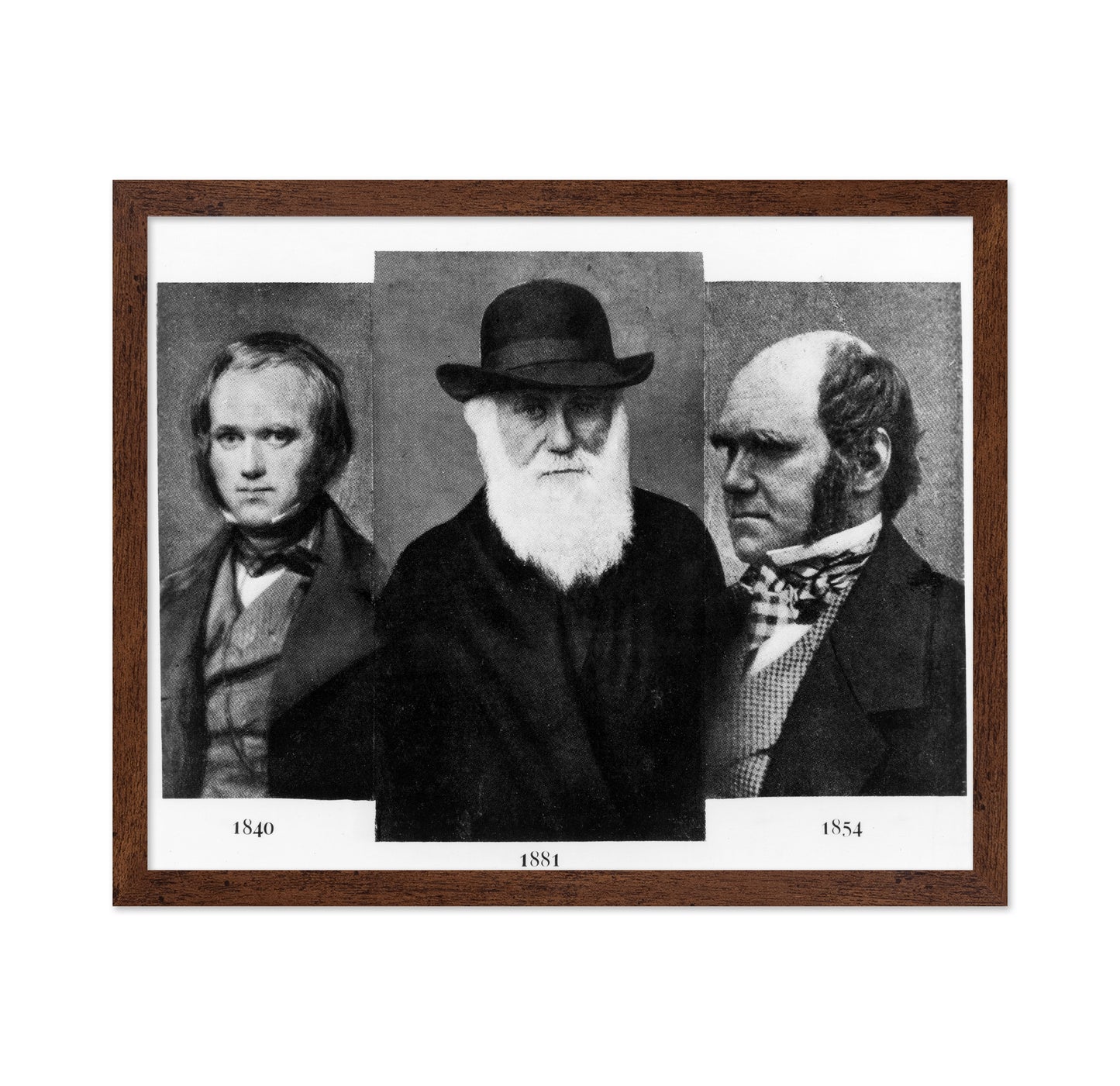 Charles Darwin 1881