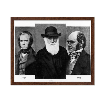 Charles Darwin 1881