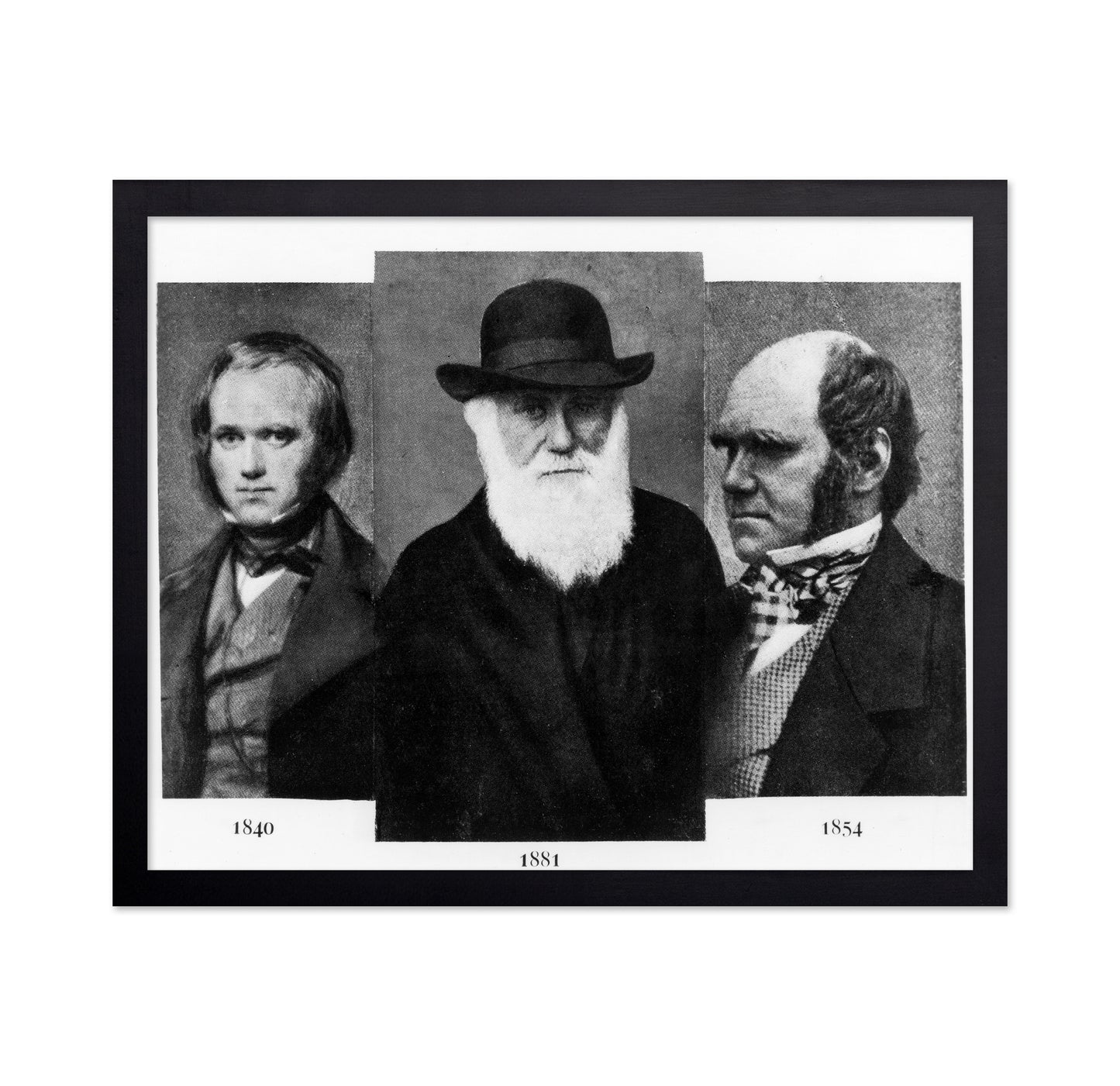 Charles Darwin 1881