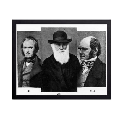 Charles Darwin 1881