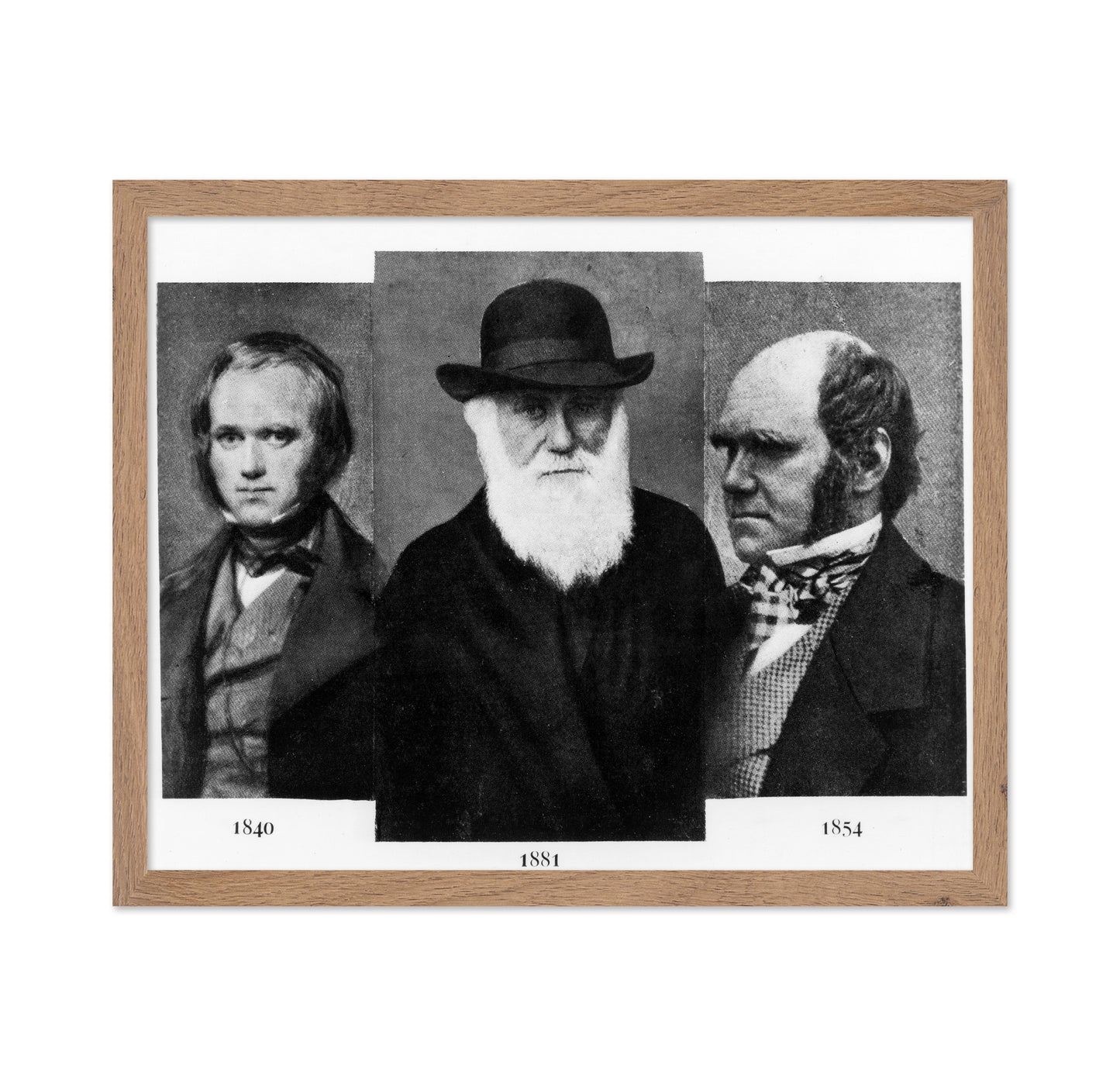 Charles Darwin 1881