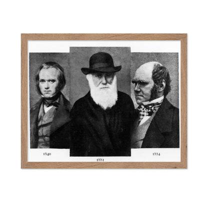 Charles Darwin 1881