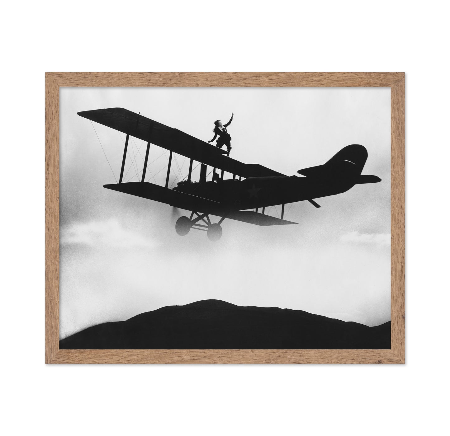 Daredevil Aviatrix 1932