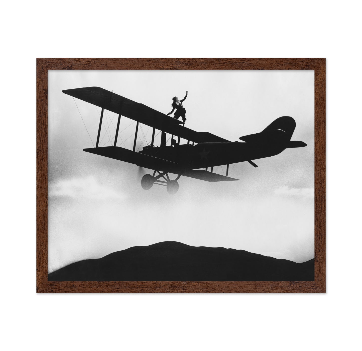 Daredevil Aviatrix 1932