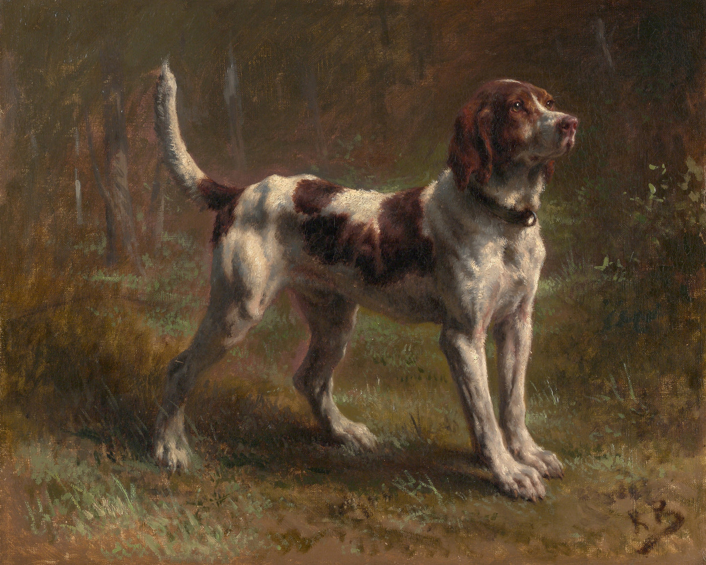 Hound Portrait 1856