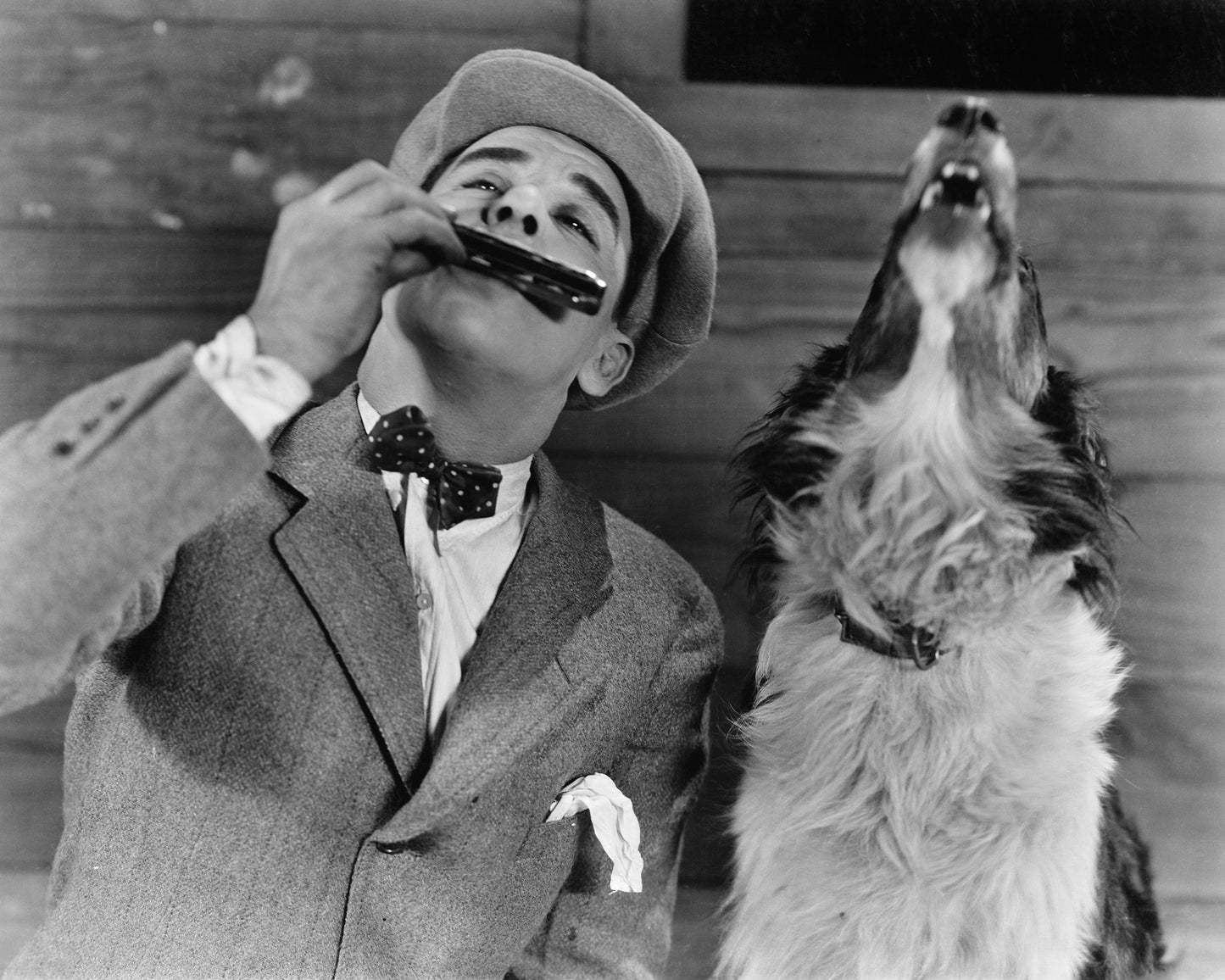 Harmonica Dog 1930