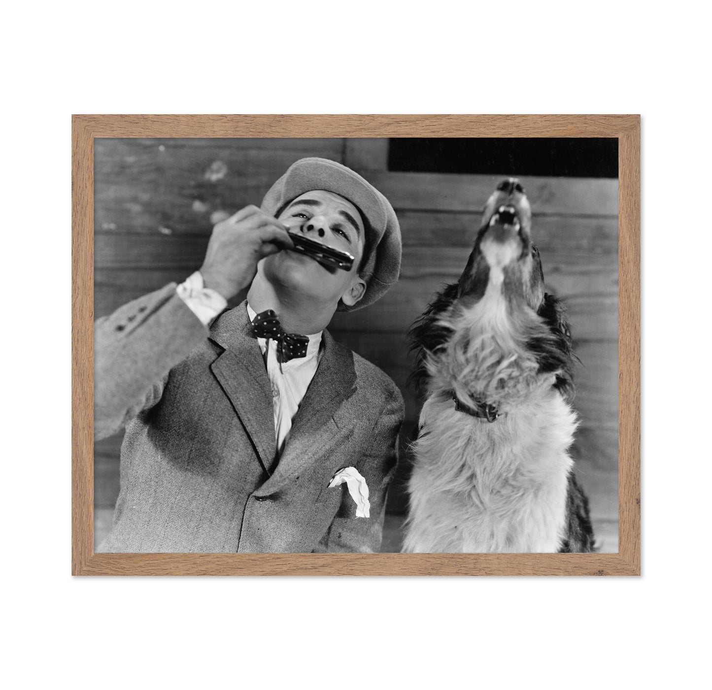 Harmonica Dog 1930