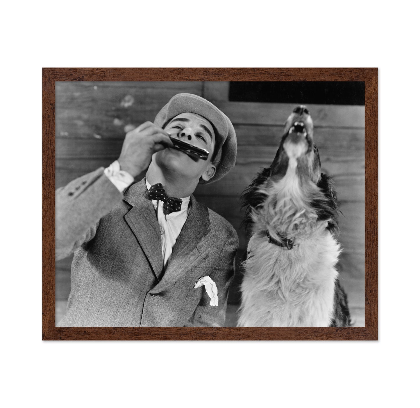 Harmonica Dog 1930