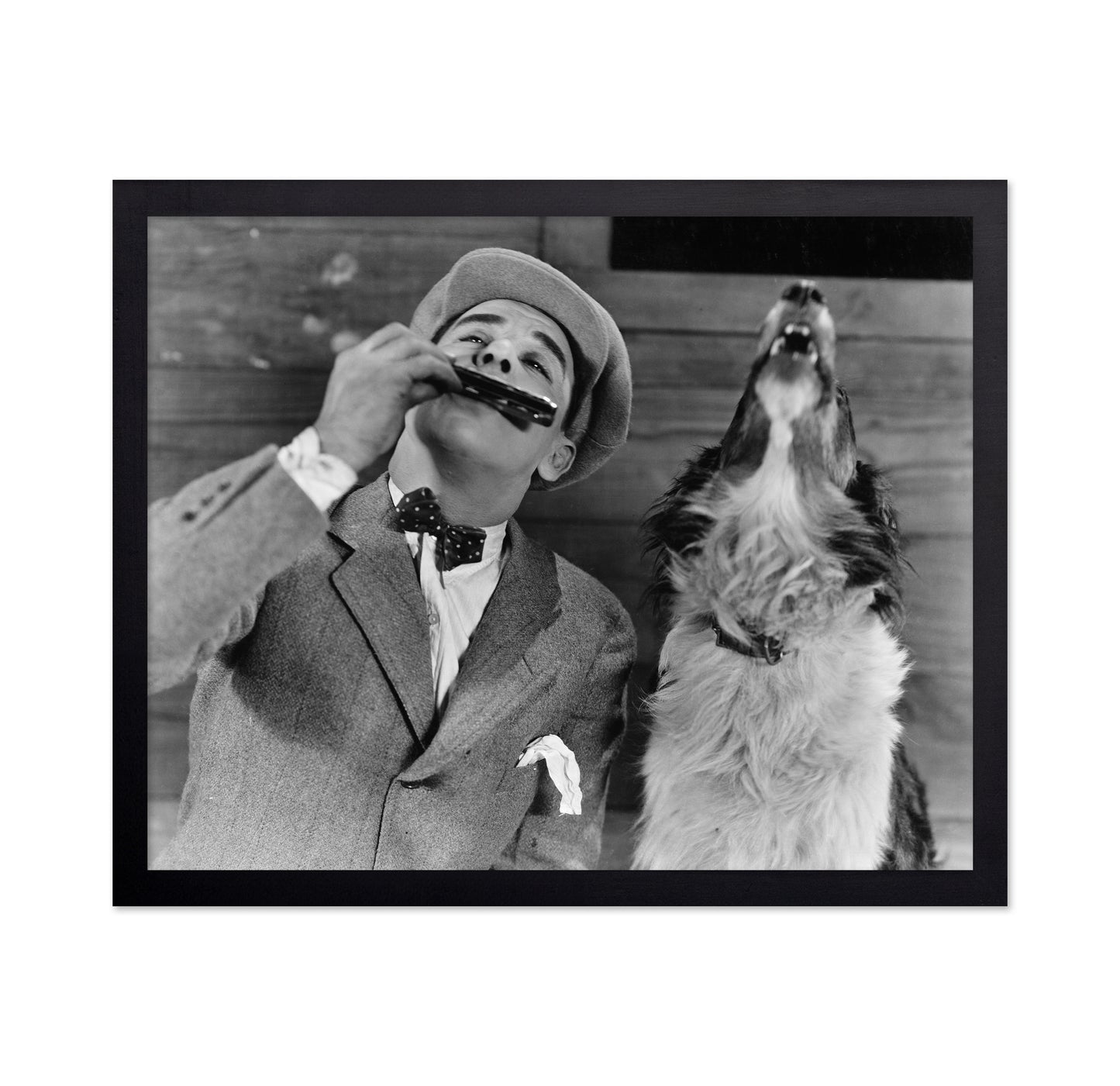 Harmonica Dog 1930