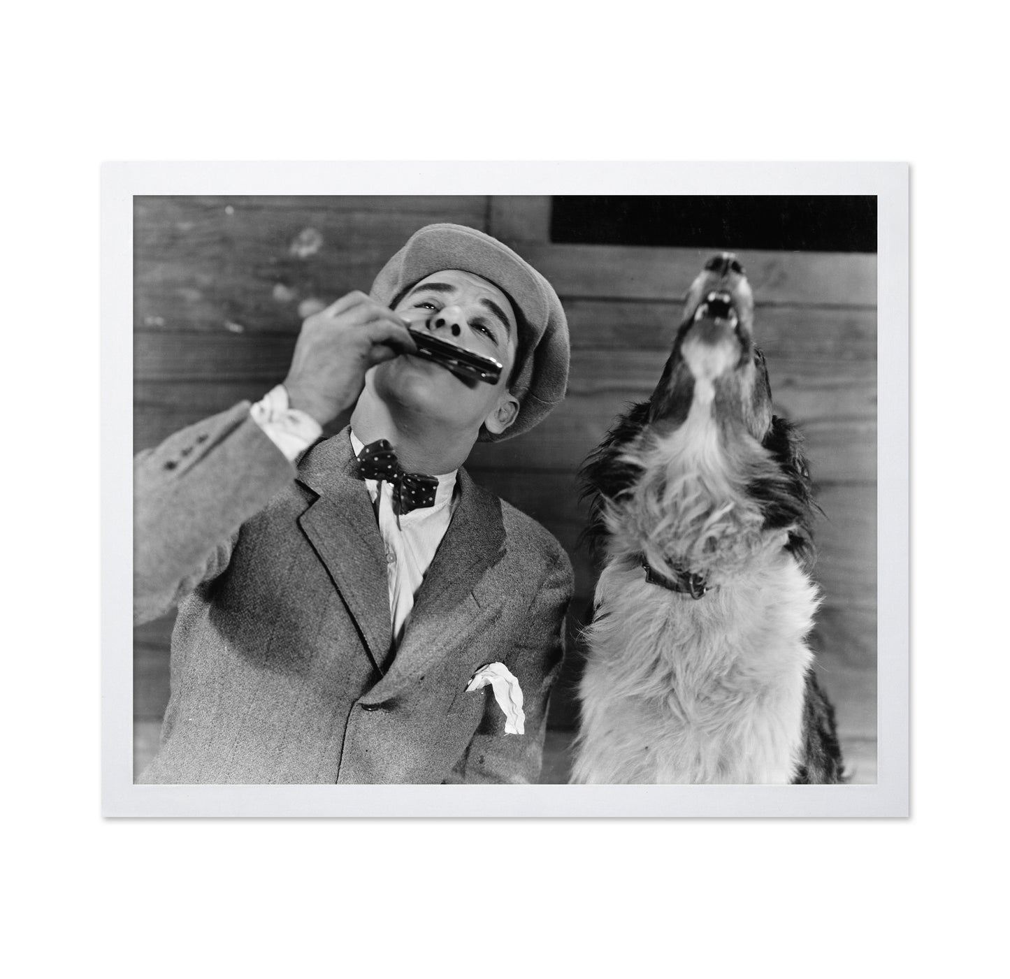Harmonica Dog 1930