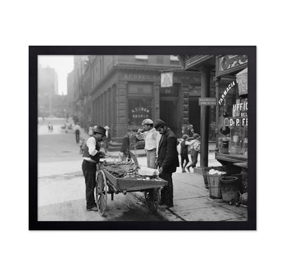 Mulberry Bend NYC 1900