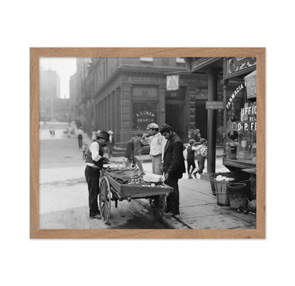 Mulberry Bend NYC 1900