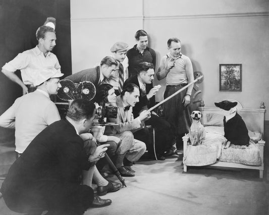 Film Dogs 1930s