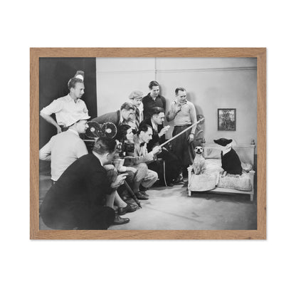 Film Dogs 1930s