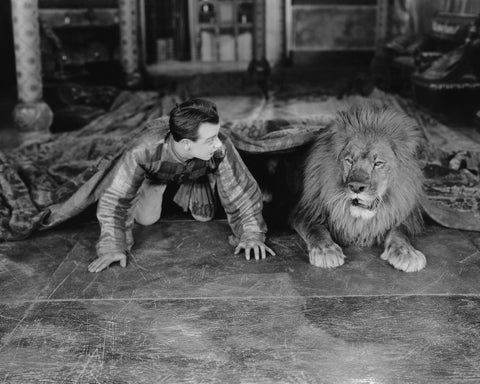 Unexpected Guest 1920s