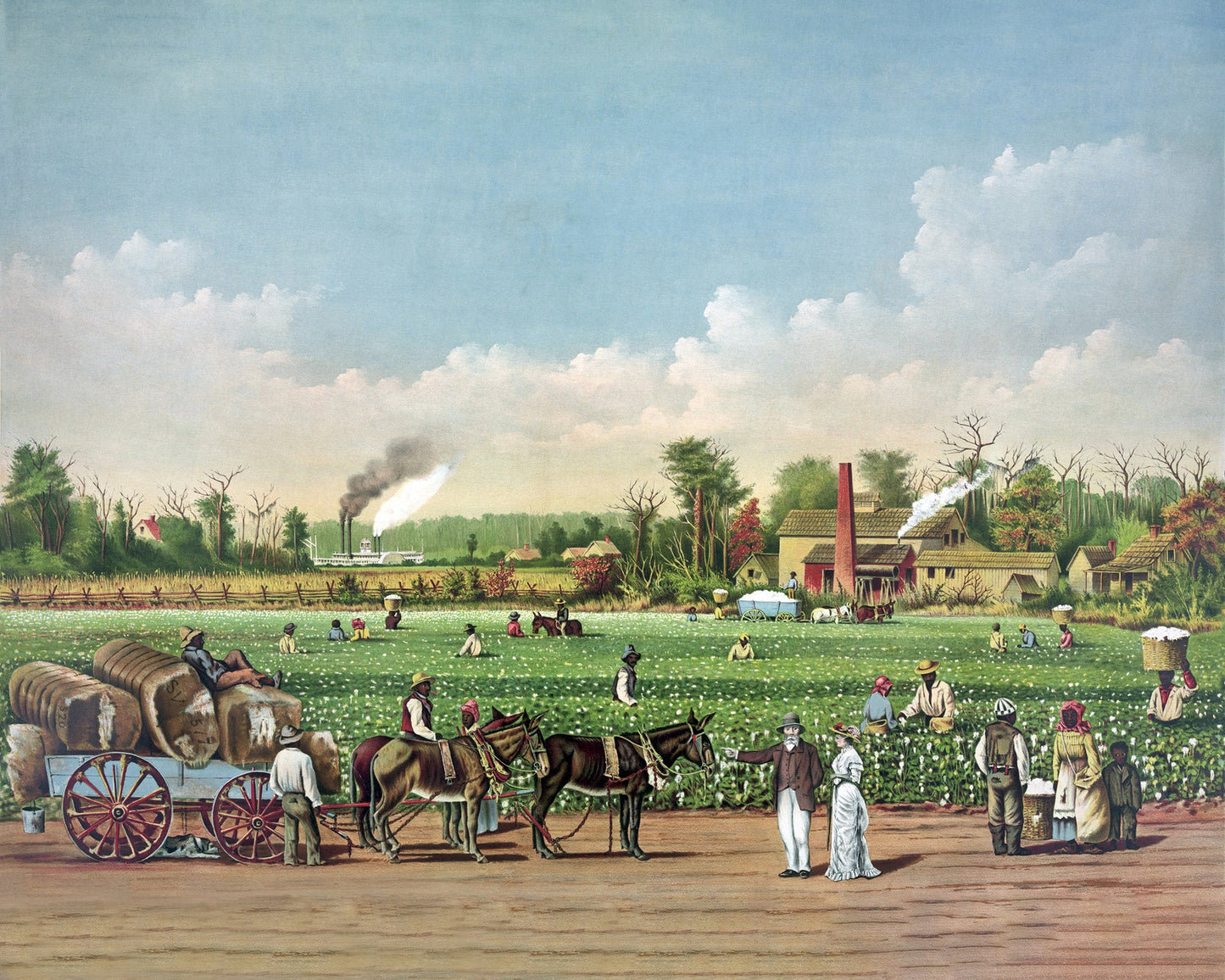 Cotton Plantation 1884