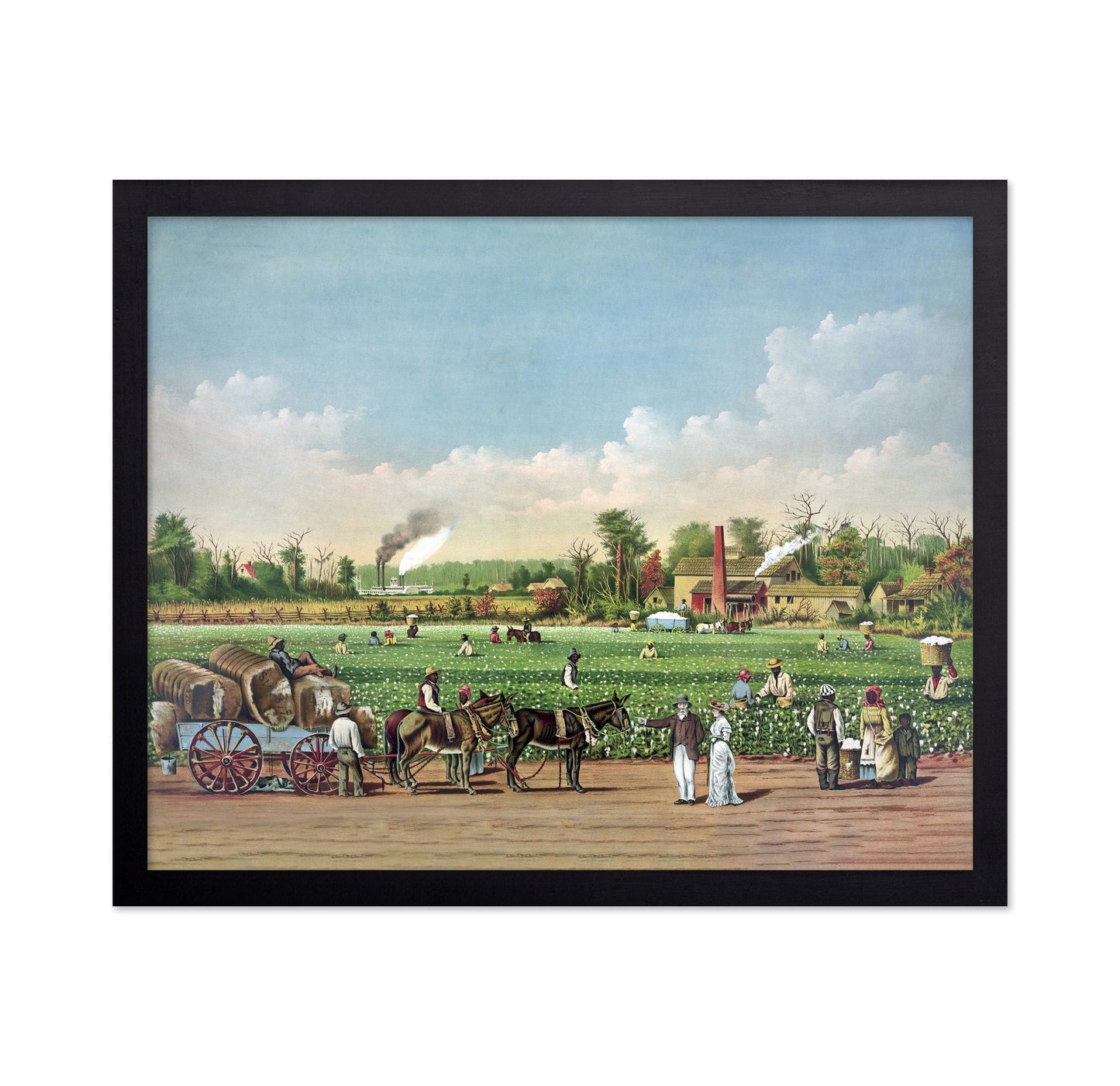 Cotton Plantation 1884