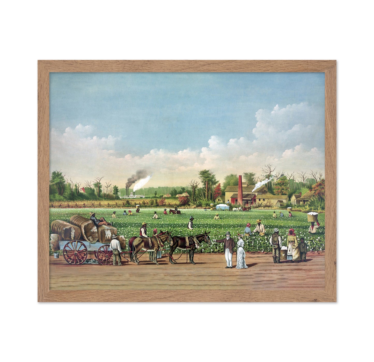 Cotton Plantation 1884