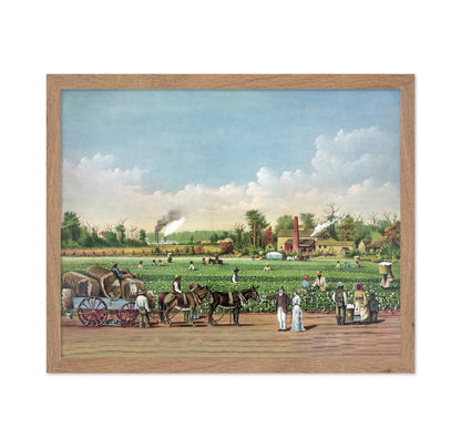 Cotton Plantation 1884