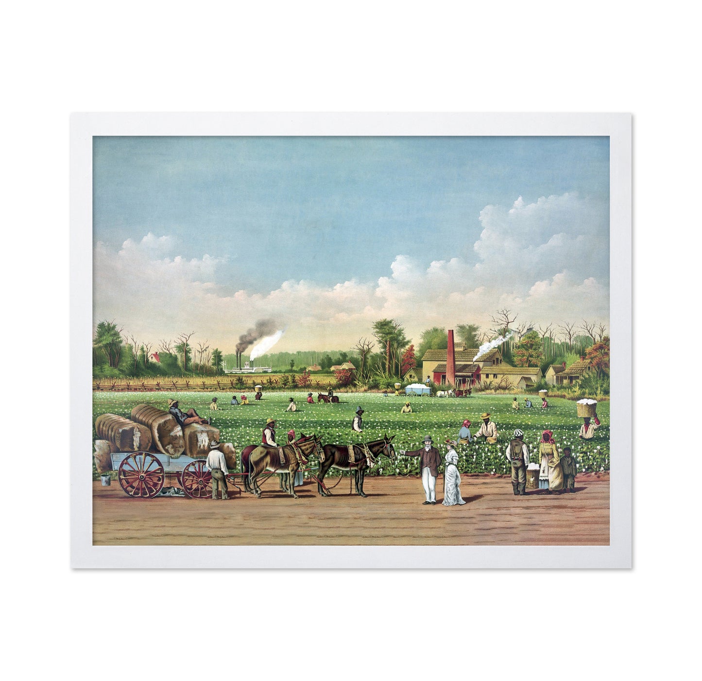 Cotton Plantation 1884