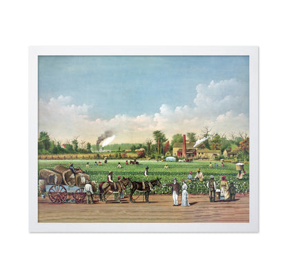 Cotton Plantation 1884