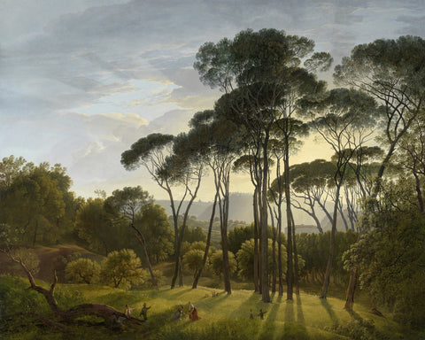 Umbrella Pines 1805
