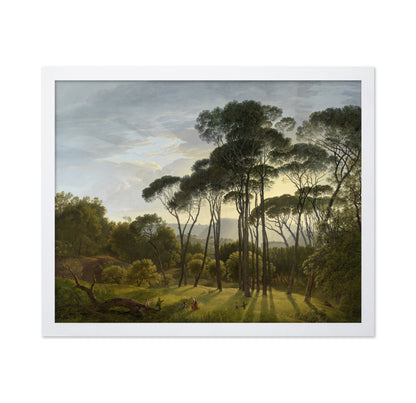 Umbrella Pines 1805