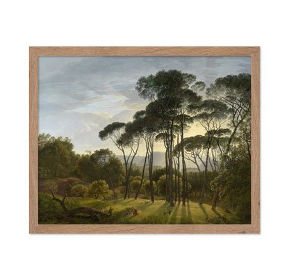 Umbrella Pines 1805