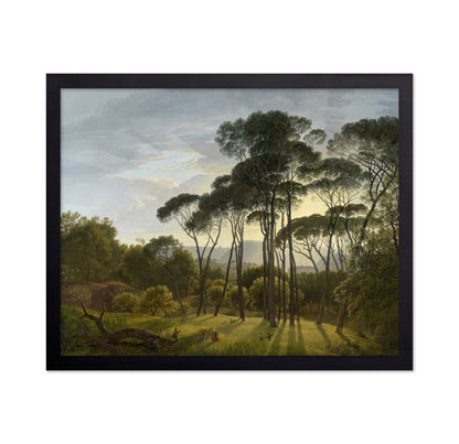 Umbrella Pines 1805