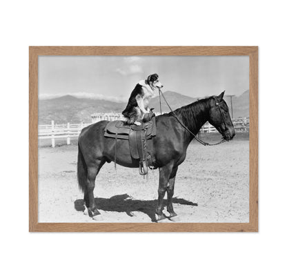 Saddle Up