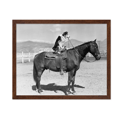 Saddle Up